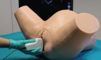 Vaginal ultralyds simulator